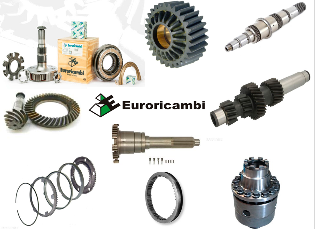 Fornecedor 5